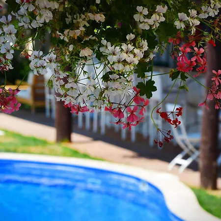 Tasquartas מלון 2*