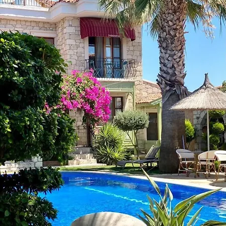 Tasquartas אלאקאטי