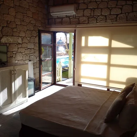 Tasquartas אלאקאטי