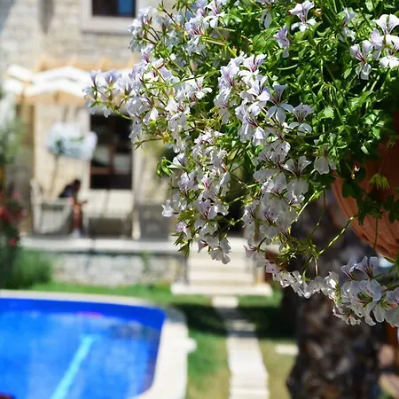 酒店 Tasquartas 阿拉恰特