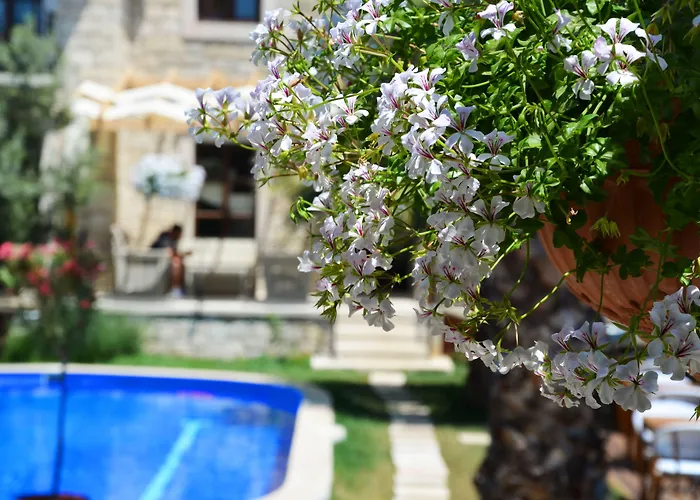 Отель Tasquartas